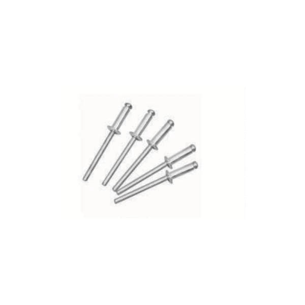 RIVET