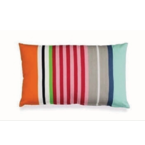 Coloured Pillow
